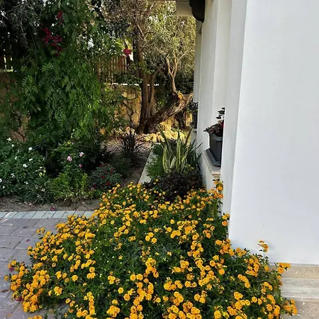 Mulberry, Kyrenia וילה *