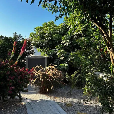 Mulberry, Kyrenia * קיירניה