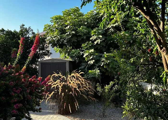 Mulberry, Kyrenia * Kyrenia (Northern Cyprus)